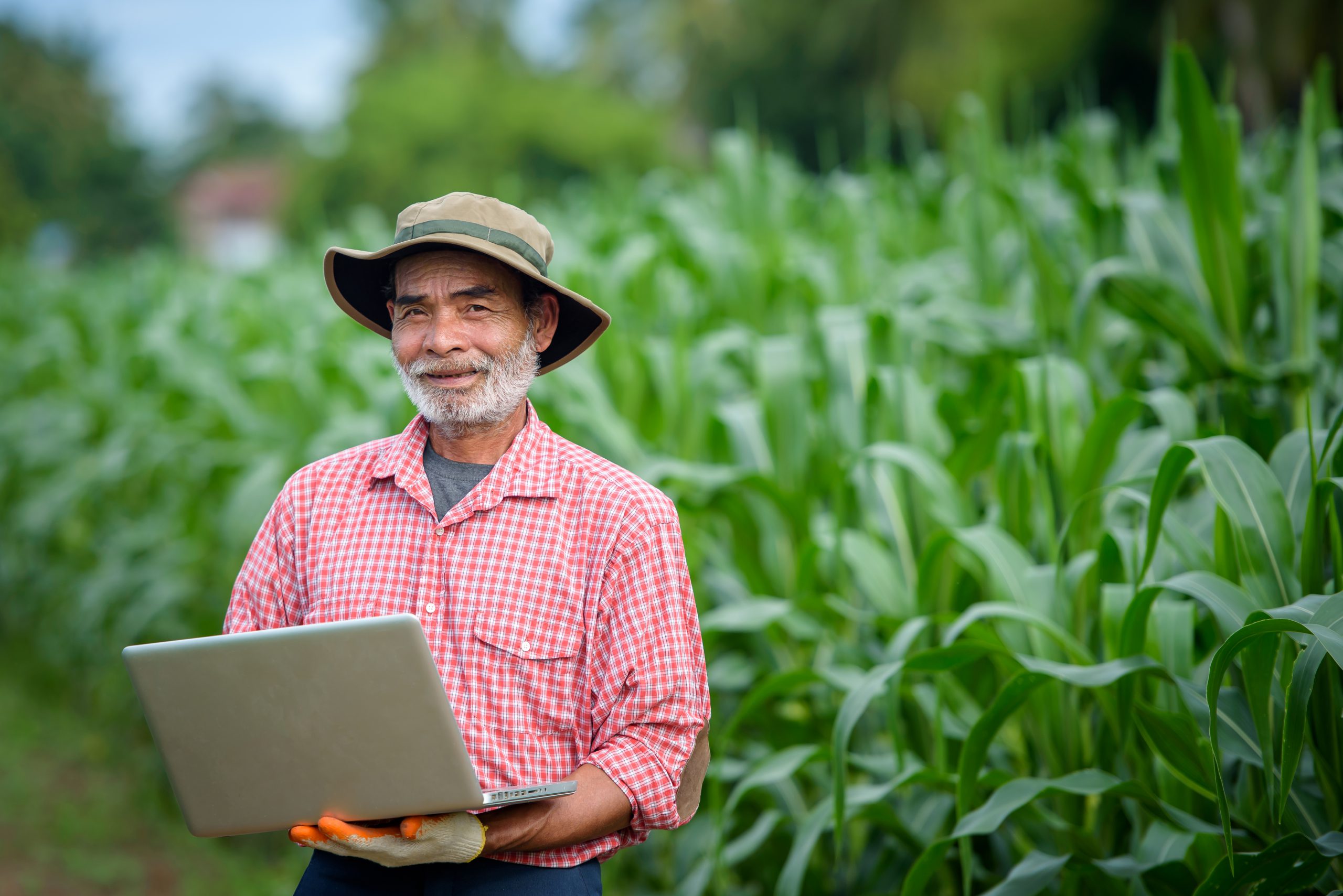 A,Happy,Elderly,Man,Who,Is,A,Senior,Farmer,Using